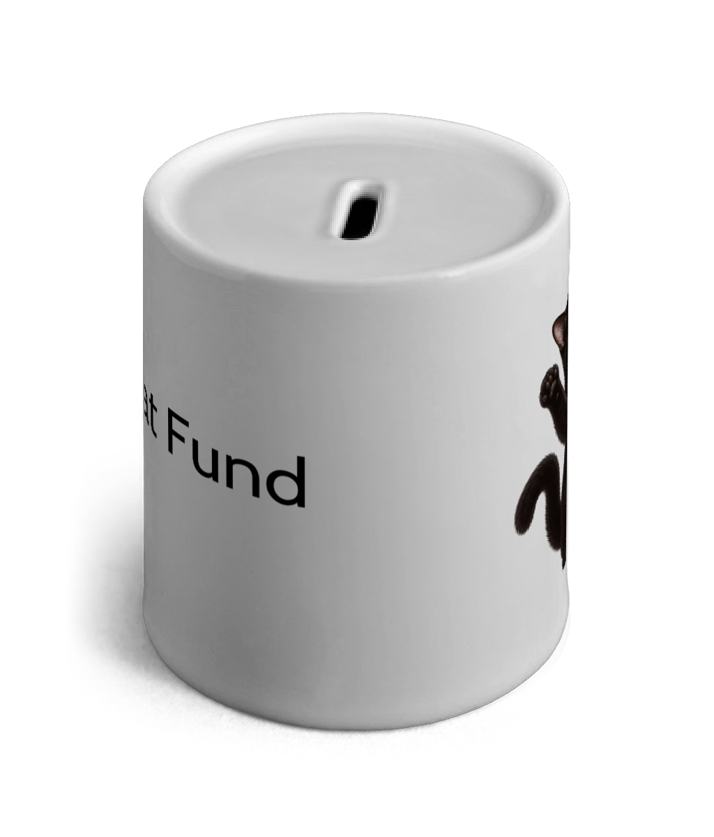 Cat Treat Fund Ceramic Money Box