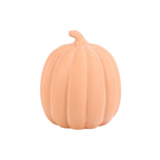 22cm Terracotta Pumpkin Ornament