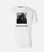 Confirm big stretches Dusty T-shirt UNISEX