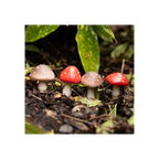Set of 4 Mini Mushroom Plant Pot Pals