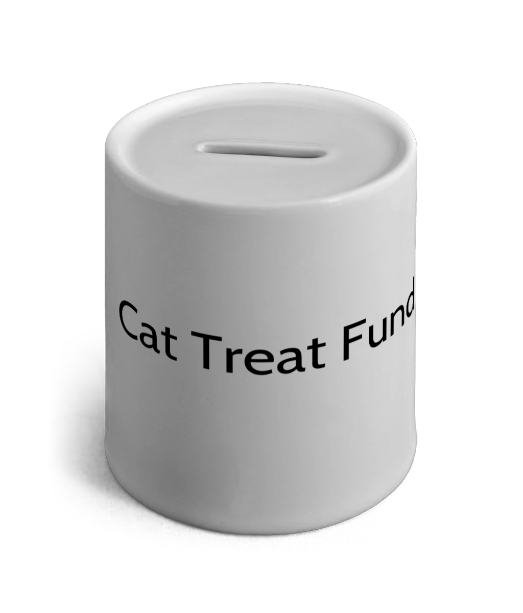 Cat Treat Fund Ceramic Money Box